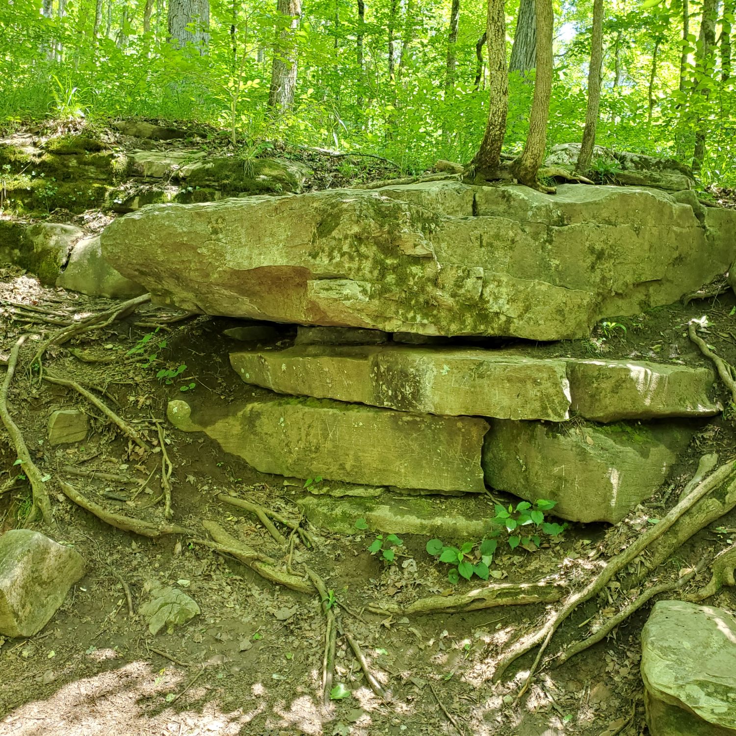 Mammouth Cave National Park Hike 